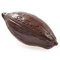 La Praline Chocolatier, chocolate  gran cacao